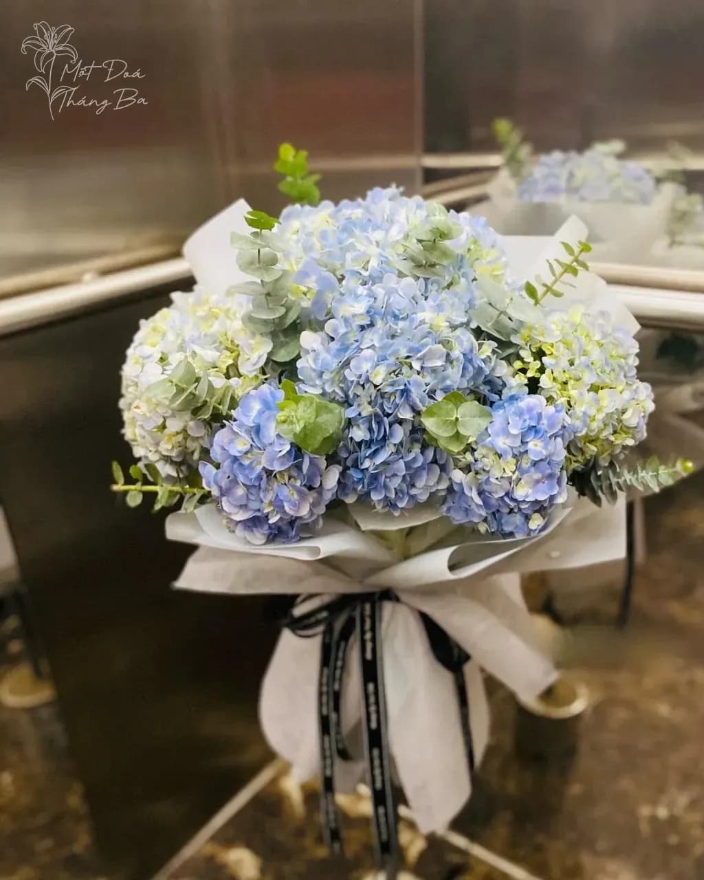 Bó Hoa Cẩm Tú Cầu Xanh Pastel – Sự chân thành, lòng biết ơn