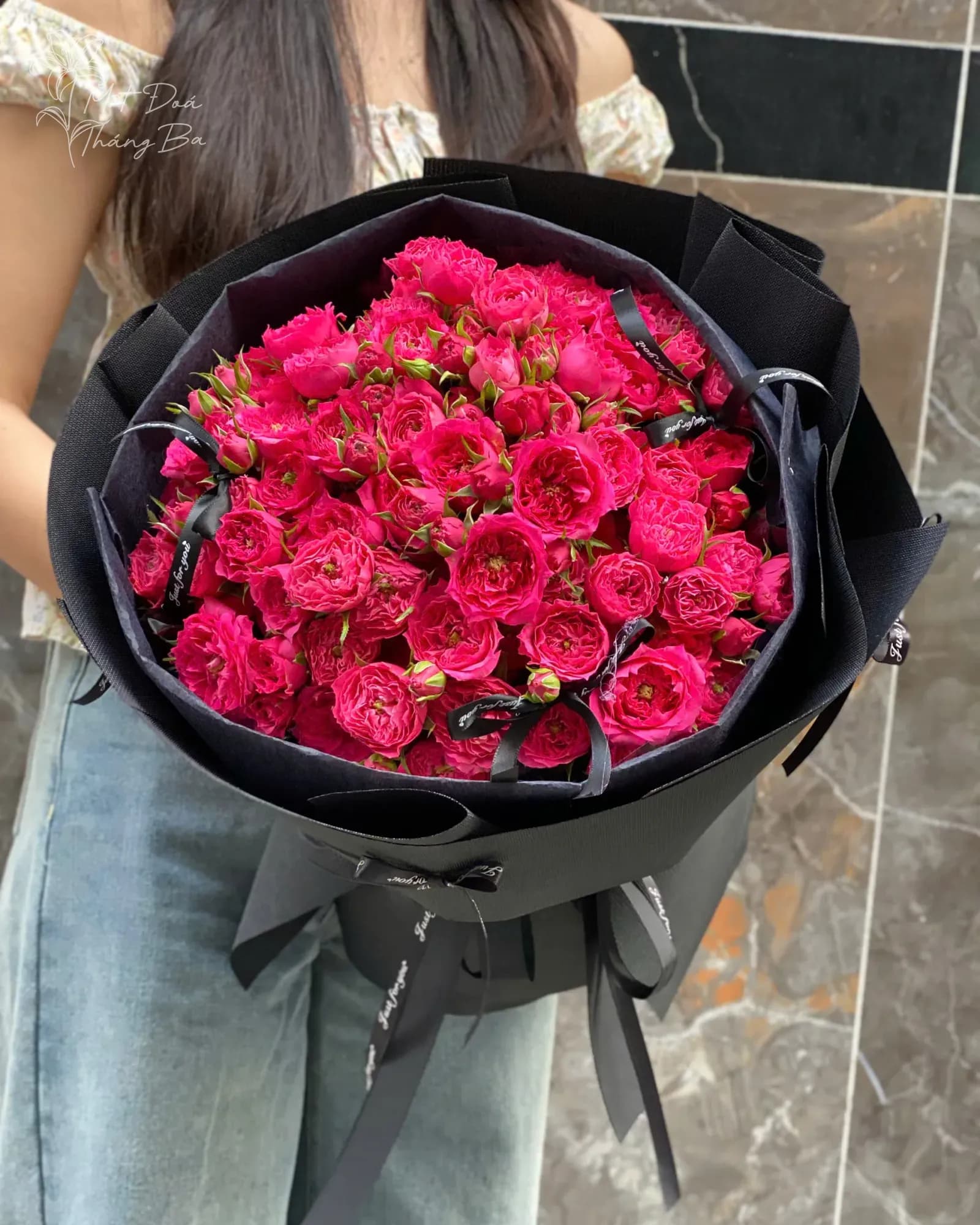 Bó hoa Hồng Sophia Bó Tròn Kiêu Sa