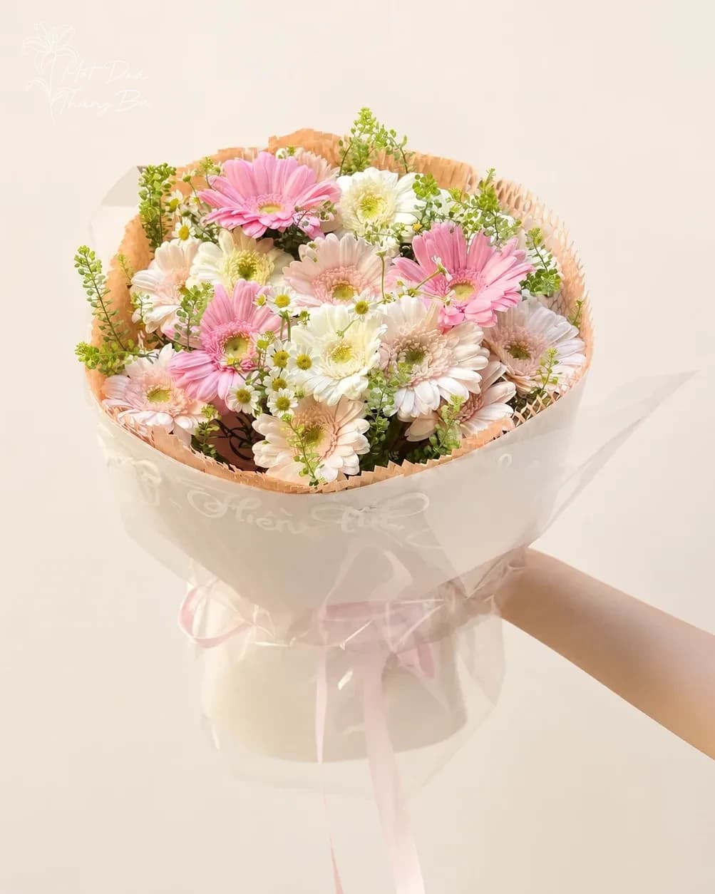 Bó hoa đồng tiền