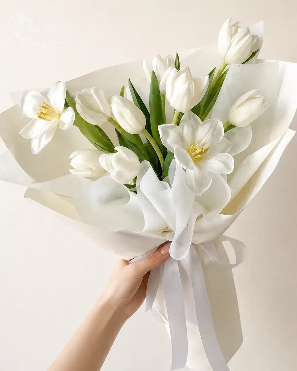 Bó hoa tulip