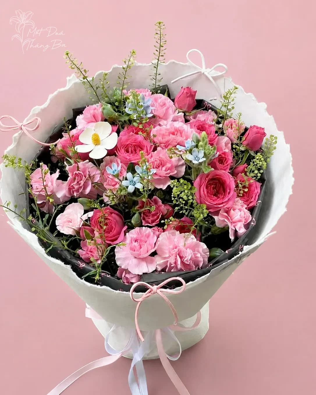 Sweet Sophia - Bó Hoa Hồng Sophia Điểm Sao Xanh