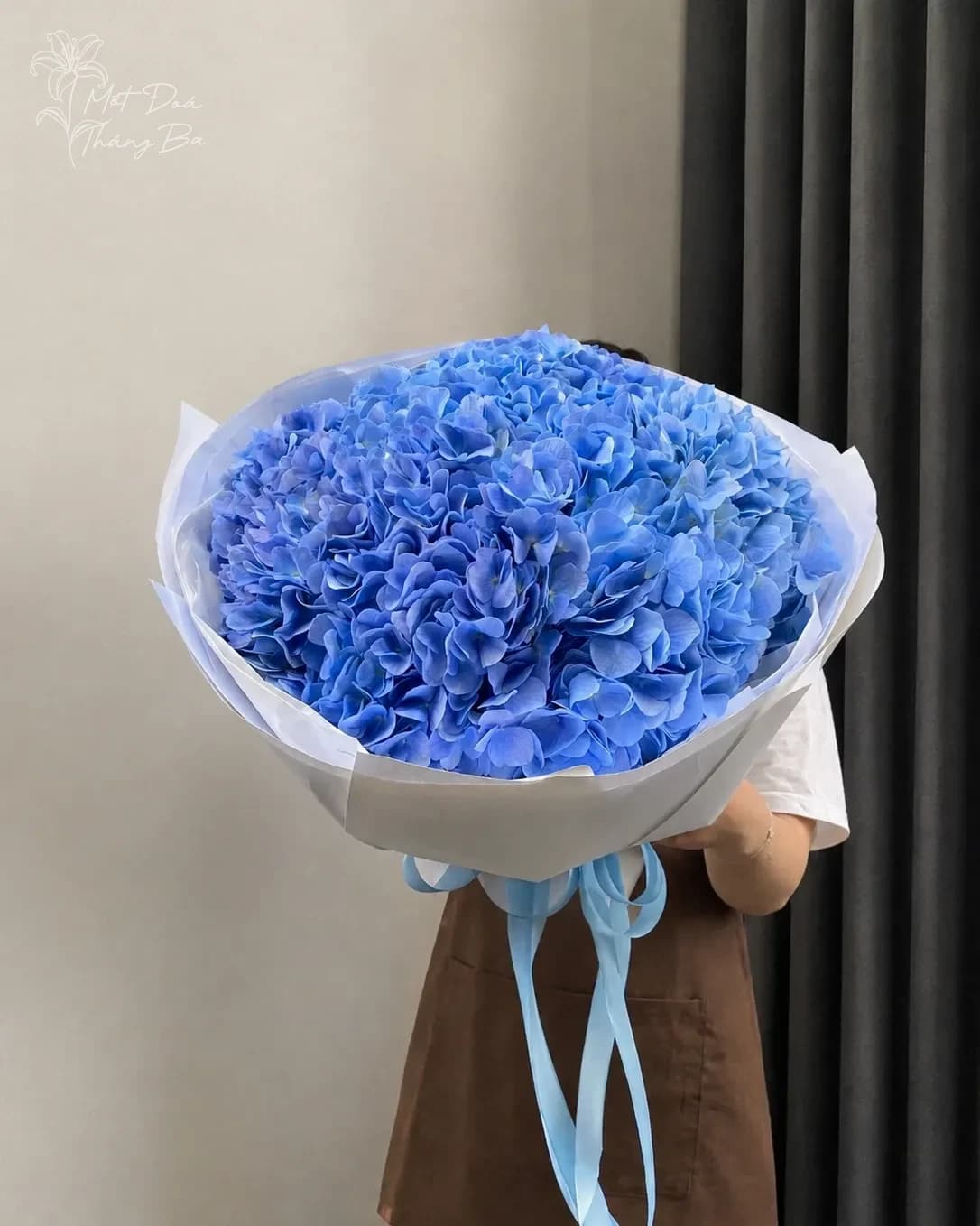 Bó hoa cẩm tú cầu xanh dương nhập khẩu